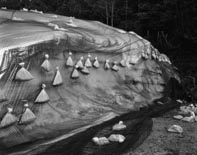 Toshio SHIBATA　#0189　新潟県北魚沼郡　1989