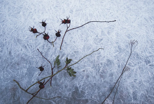 Eiji INA - 北への扉 ヘルシンキ [ Finland 氷結したトゥールン湾 ] , 2005