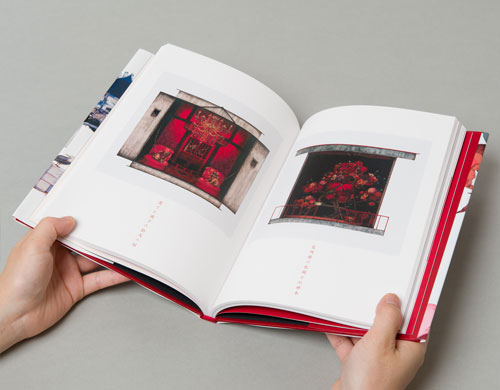 徒花図鑑　晒野団地四畳半詣　花咲爺の色褪せぬ神木　愛され過ぎた狛犬の祠