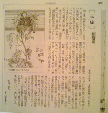 Meo　SAITO_朝日新聞記事