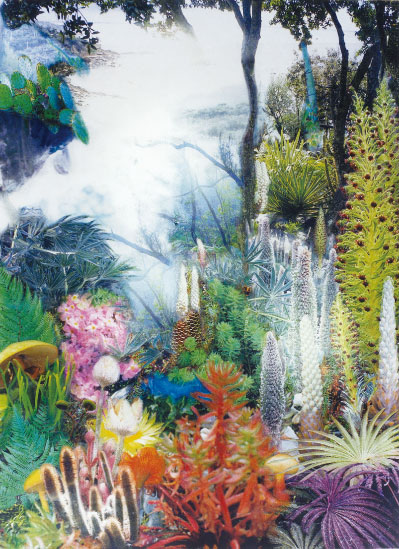 進藤環 来る者行く者居続ける者, 2010, タイプCプリント