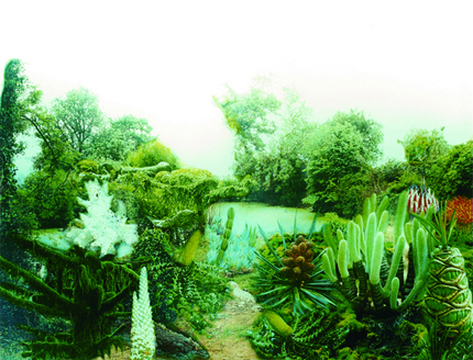 Tamaki SHINDO_移動砂漠