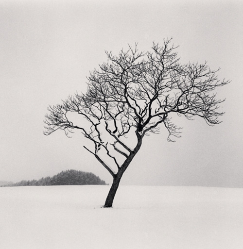 Michael Kenna　Blackstone Hill Tree, Hokkaido, Japan. 2020　©Michael Kenna／RAM