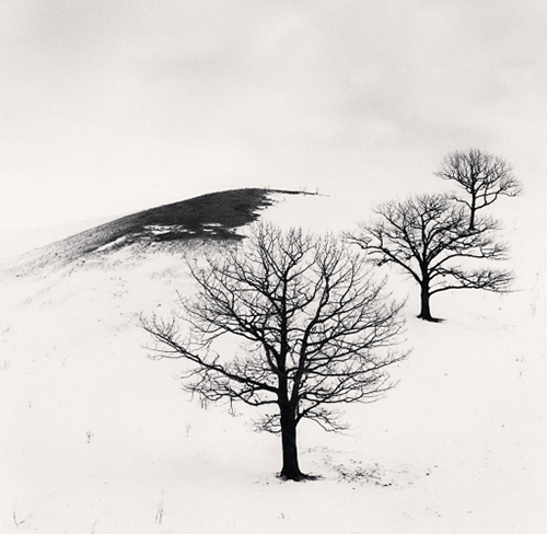 Michael Kenna　Three Trees in Pasture, Hokkaido, Japan. 2020　©Michael Kenna／RAM