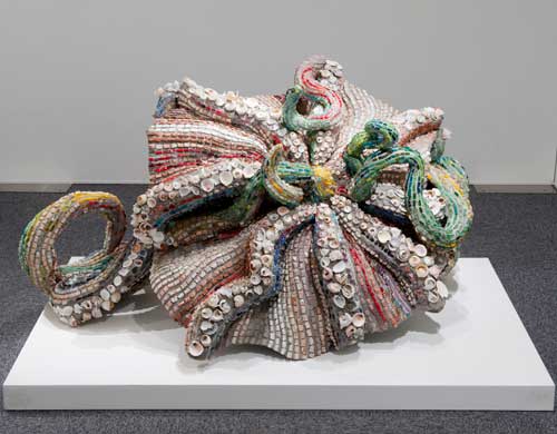 Octpus-Illusion(開花)