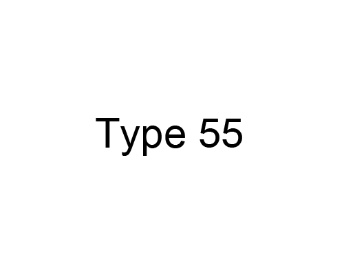 Type 55