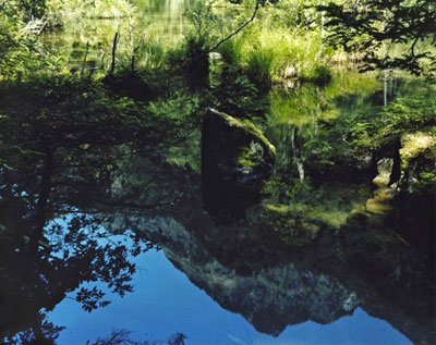 萱原理砂　Apperance#02　2012　タイプCのサムネール画像