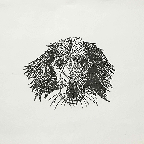Aya Morita　Lassie　2021　30.0×30.0 cm　paper cutout