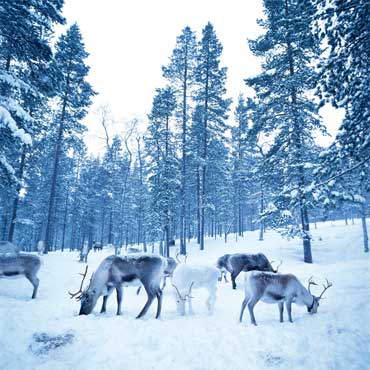 Eiji　INA　Helshinki004