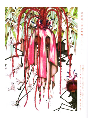 Meo　SAITO　花形冠と黒衣蜘蛛の頁