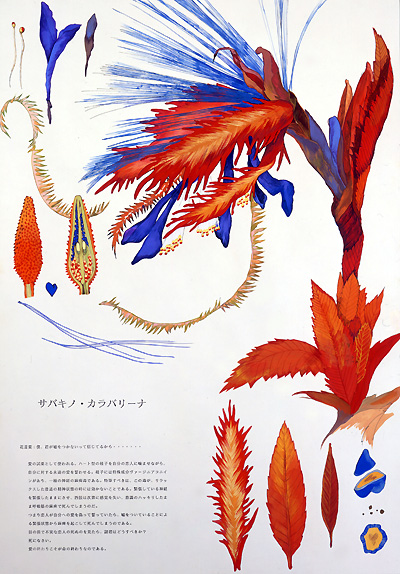 Meo　Saito_Sabakino　Karabarina　1993