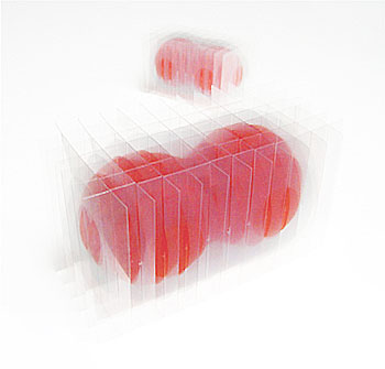 Go Segawa, Eufs Double,2011　